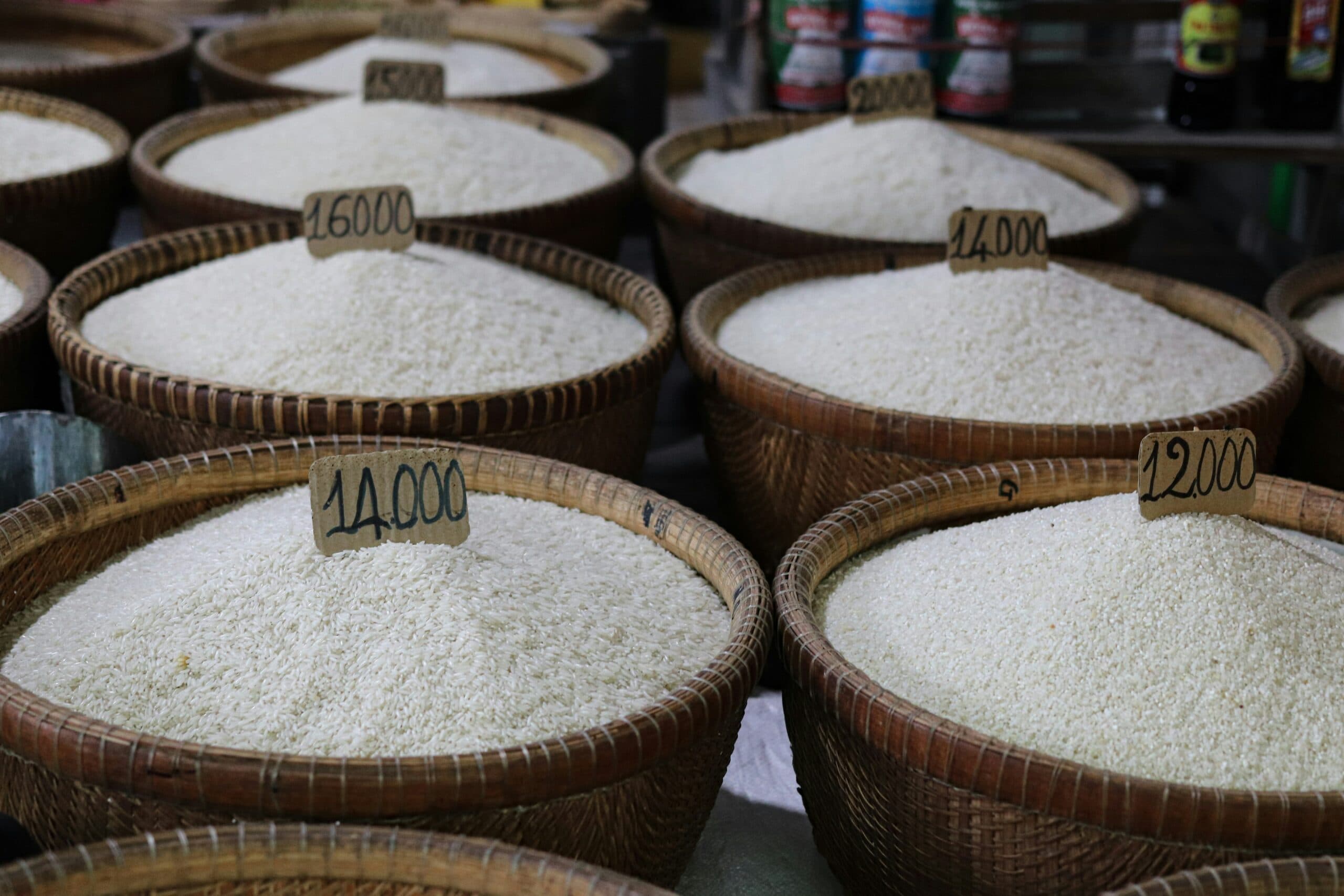 Global rice trade