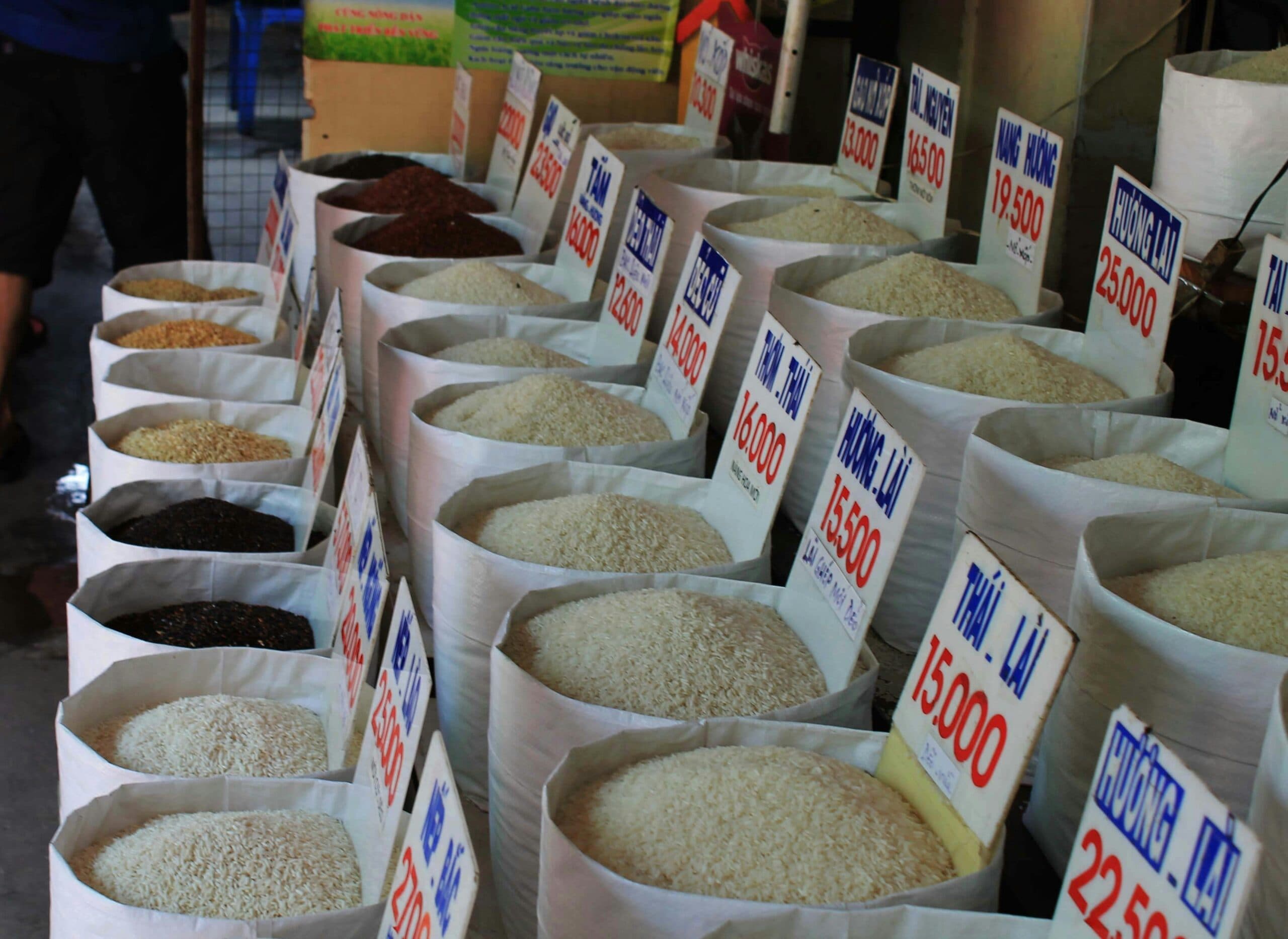 Rice cargo bound for market